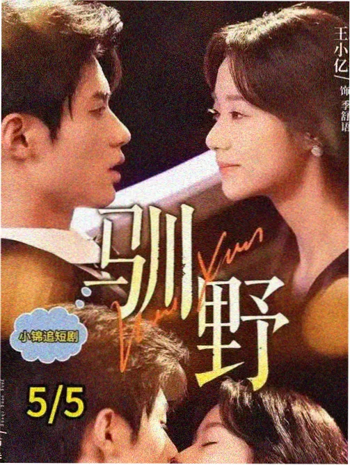 字幕组人物志封面